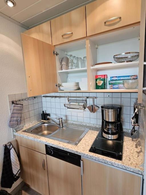 A&E Apartment Am Sorpesee Langscheid  Zewnętrze zdjęcie
