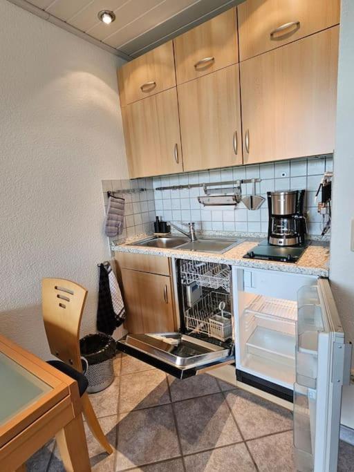 A&E Apartment Am Sorpesee Langscheid  Zewnętrze zdjęcie